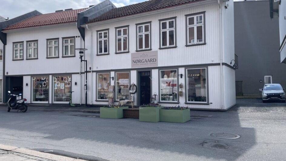 Lenke til artikkel: Minipark i Torggata