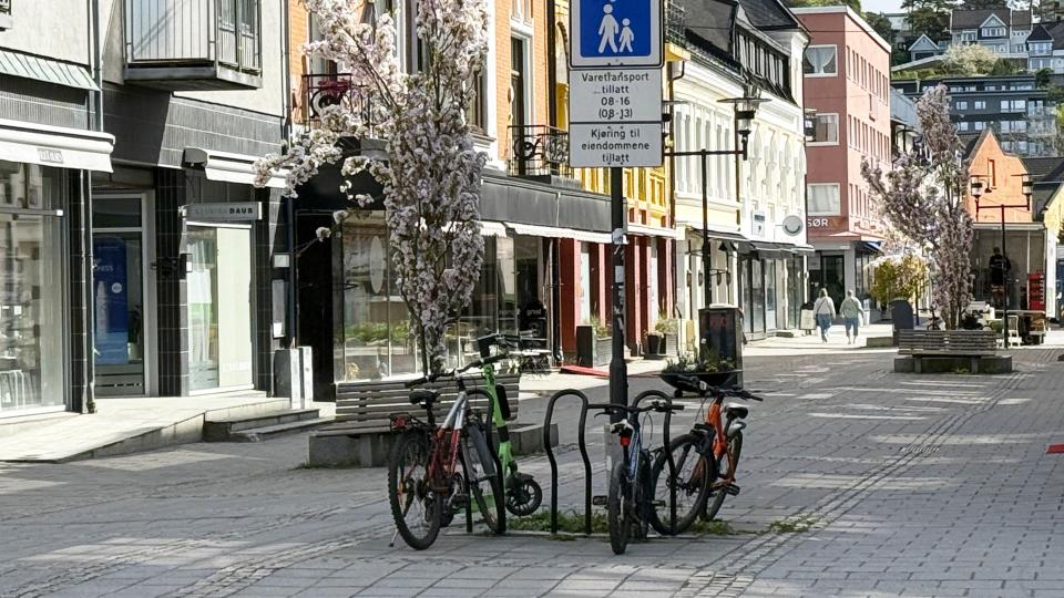 Lenke til artikkel: Politikerne skal ta stilling til nye planer for gatene